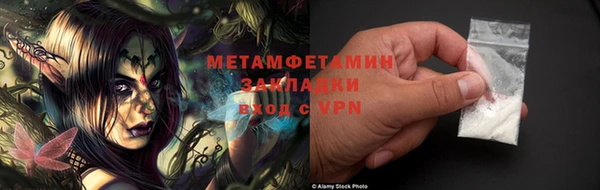 индика Беломорск