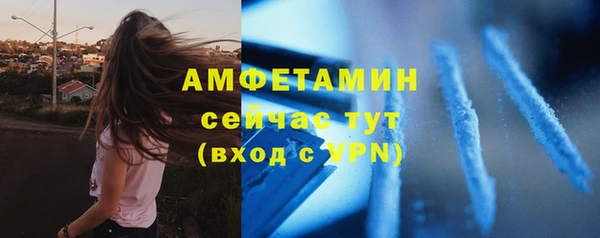 индика Беломорск