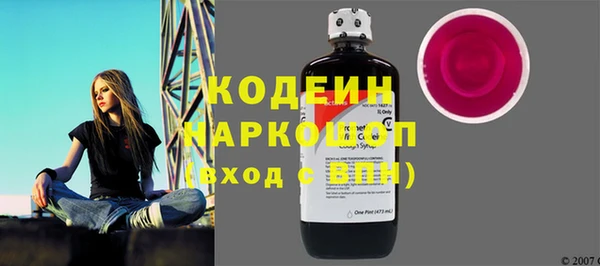 индика Беломорск